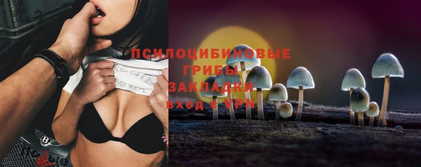 a pvp Алзамай