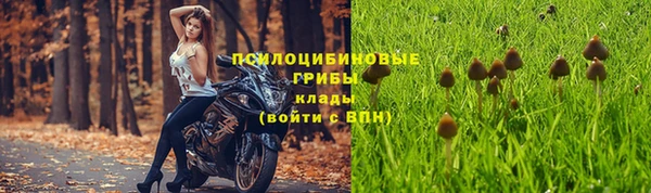 spice Алексеевка