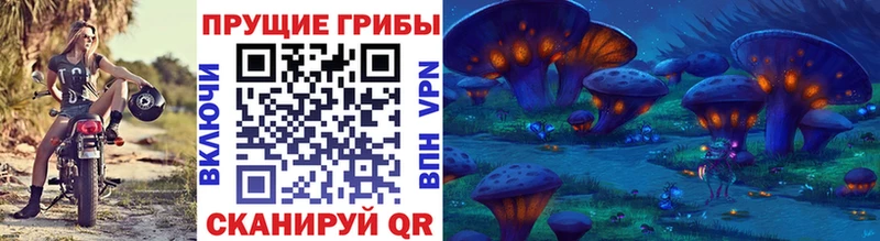 Псилоцибиновые грибы Magic Shrooms  Краснознаменск 