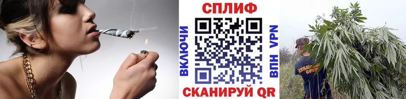 где можно купить наркотик  Краснознаменск  Каннабис конопля 